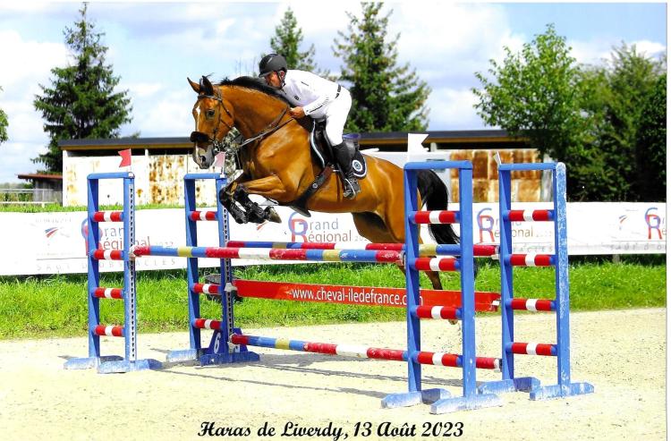 Thierry sort parfois les chevaux à entraîner en concours, avec de très bons résultats